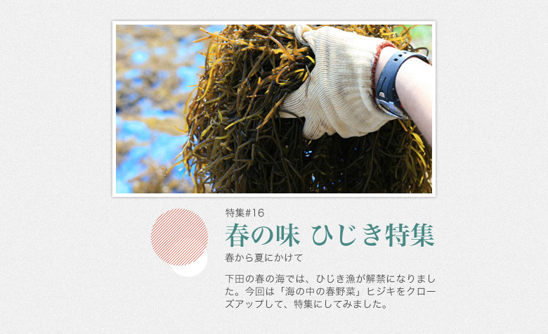 下田グルメ ヒジキで春の味を楽しむ！