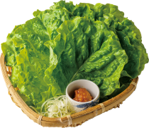 Sunchu（green lettuce leaves）