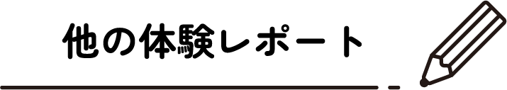 他の体験レポート