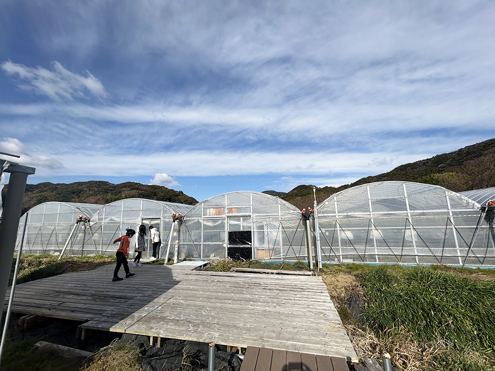 Baby Berry Farm　〜いちご狩り〜