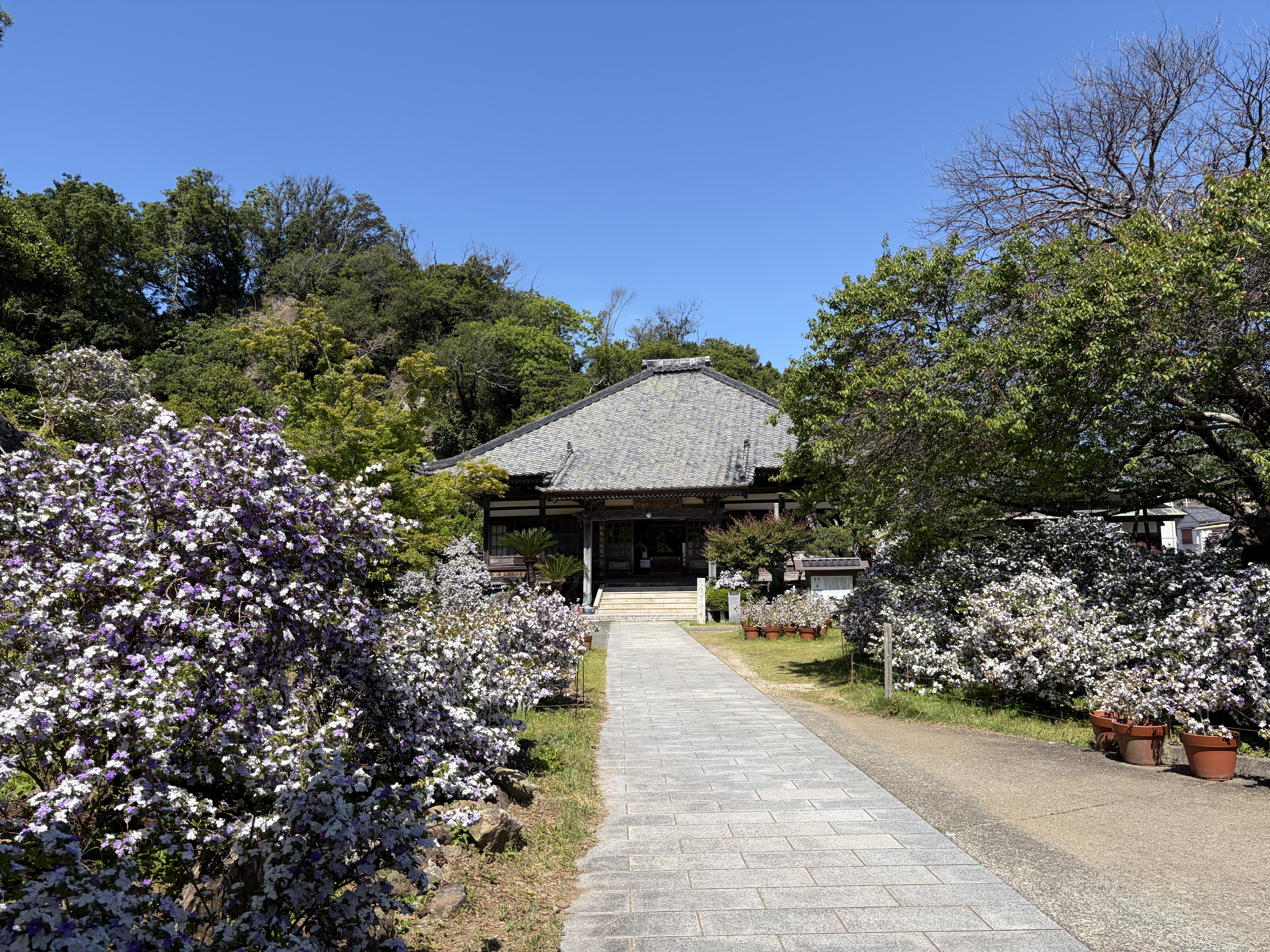 了仙寺　国指定文化財