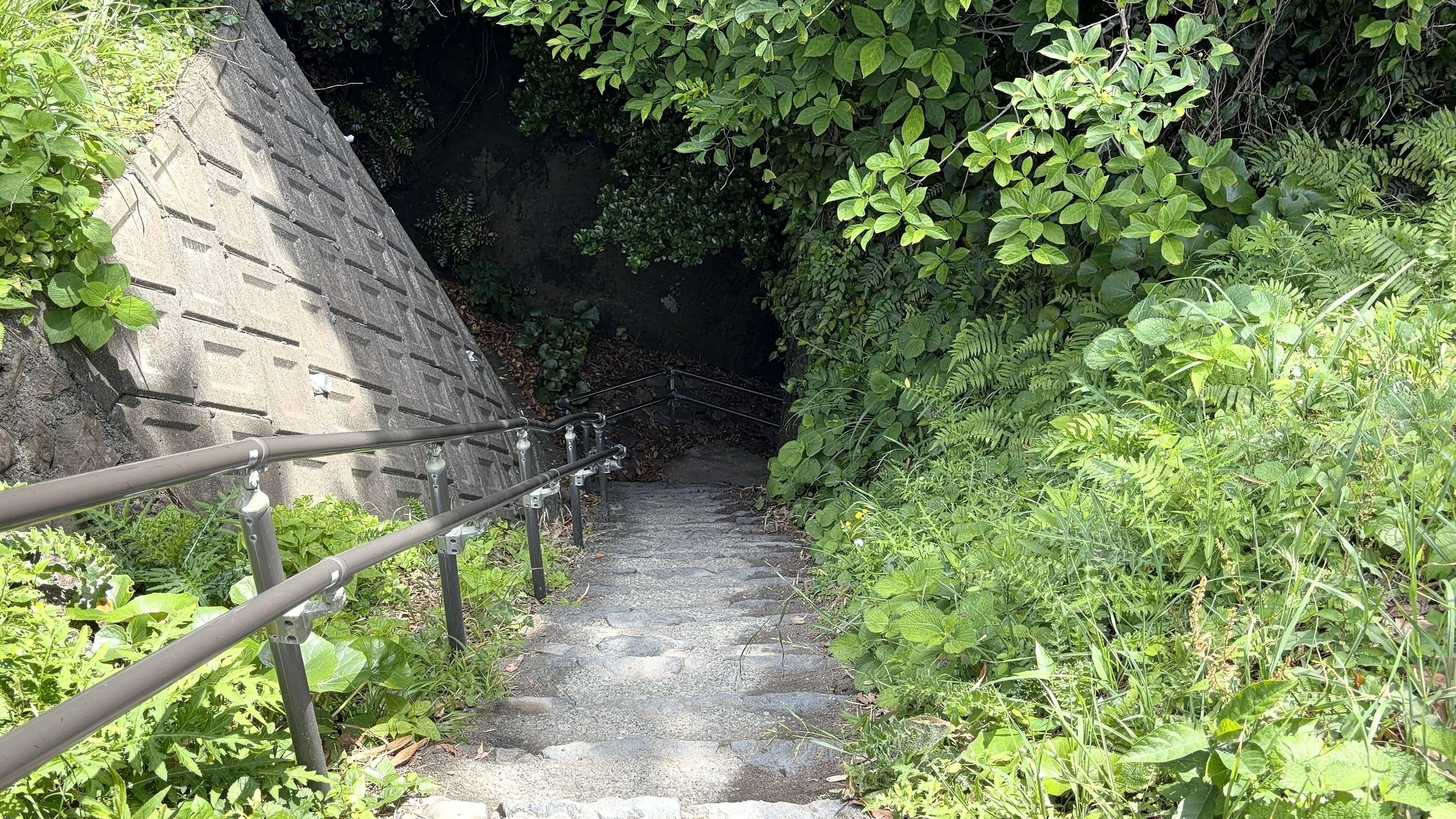 ②