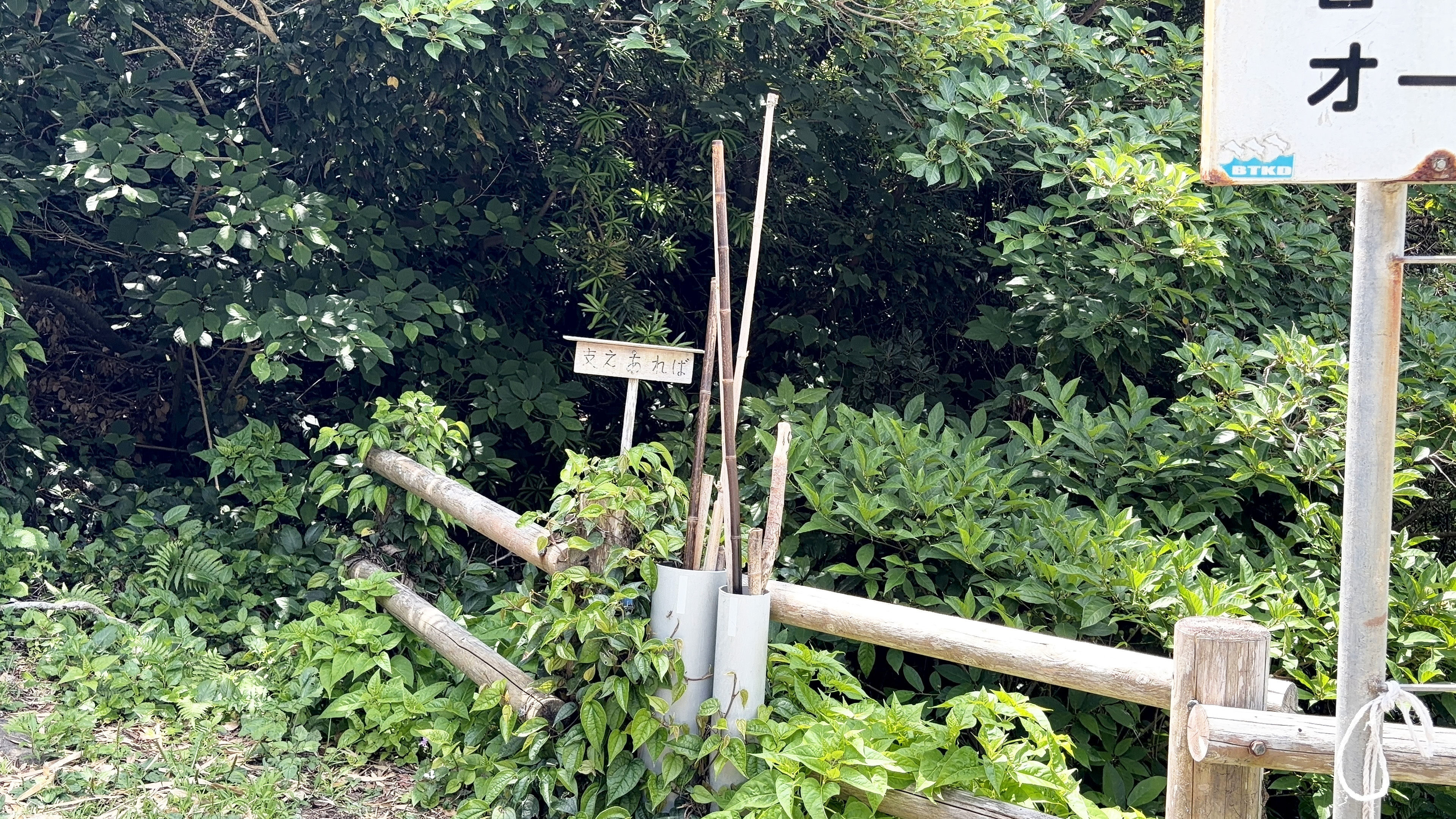⑦