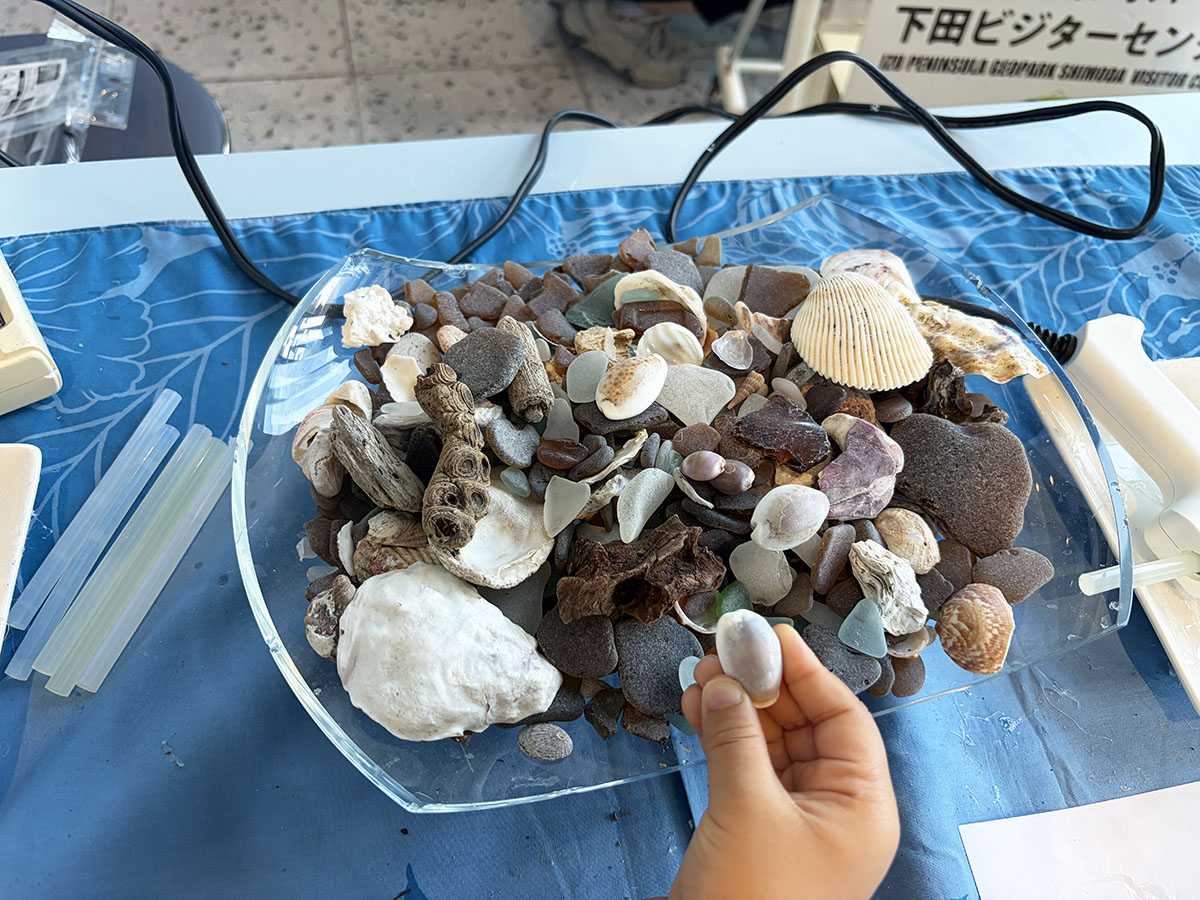 手に持っているのがタカラガイ